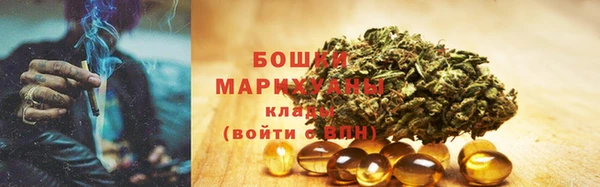 прущая мука Арсеньев