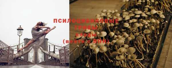 spice Армянск
