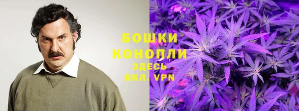 прущая мука Арсеньев