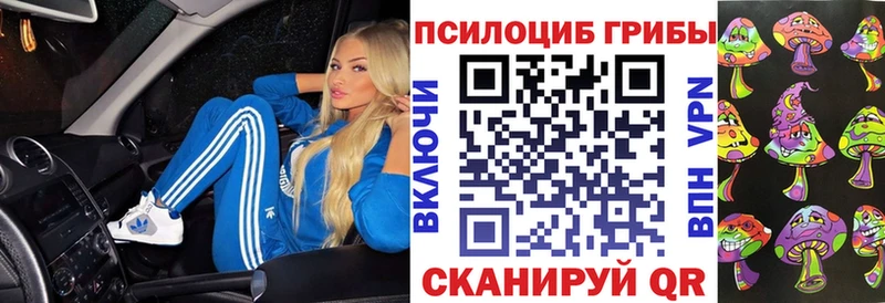 Псилоцибиновые грибы прущие грибы  Мурманск 