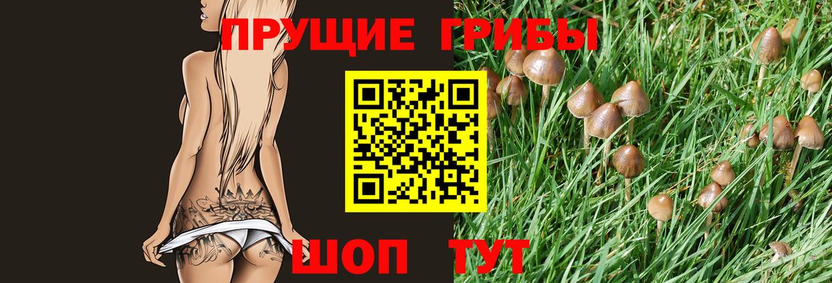 Галлюциногенные грибы прущие грибы  Псилоцибиновые грибы Magic Shrooms  Вход с VPN  Мурманск 